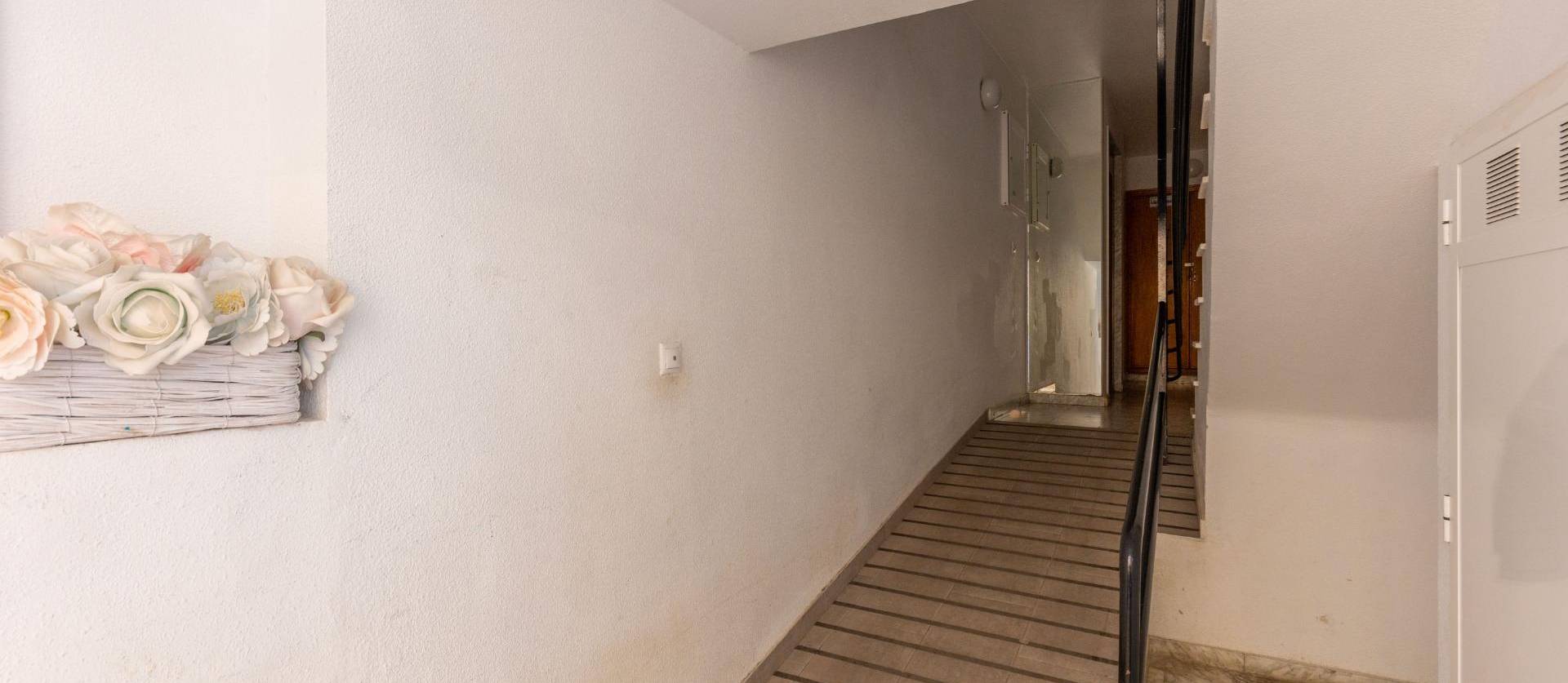 Revente - Apartment - Torrevieja - Nueva Torrevieja