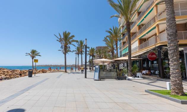 Revente - Apartment - Torrevieja - Paseo maritimo