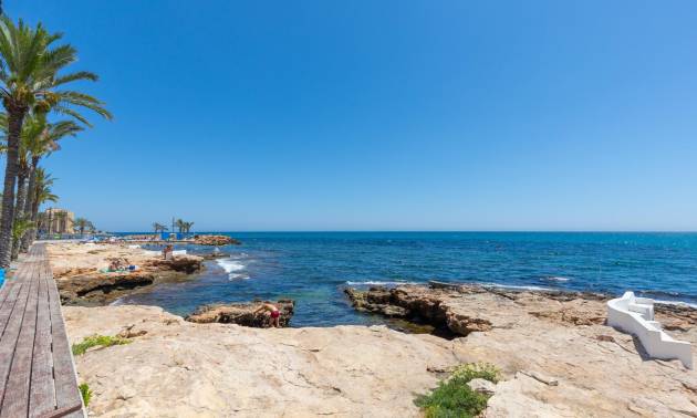 Revente - Apartment - Torrevieja - Paseo maritimo