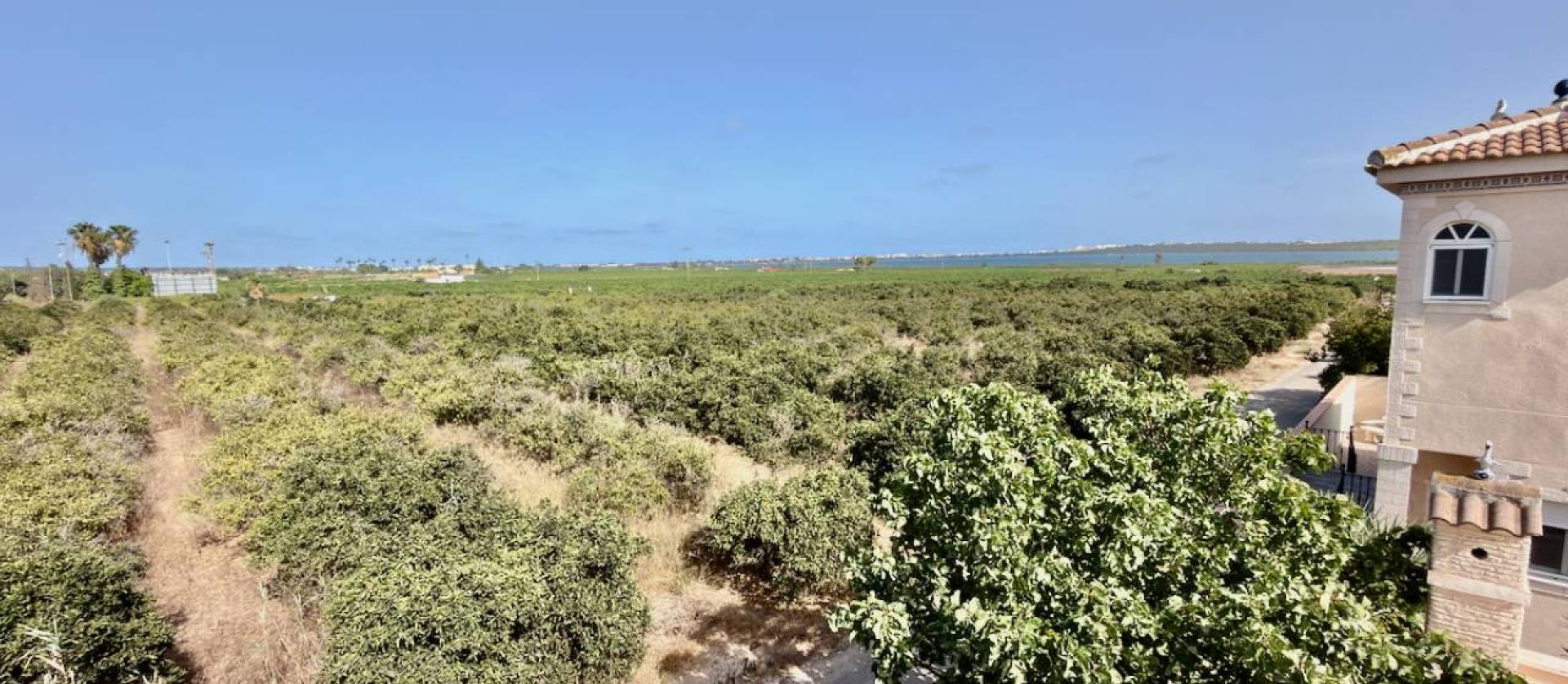 Revente - Villa - Ciudad Quesada - Doña Pepa