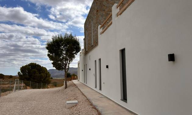 Nouvelle construction - Villa - Pinoso - Casas Pastor