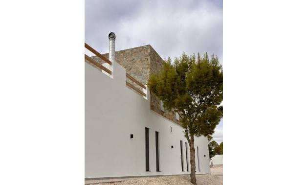 Nouvelle construction - Villa - Pinoso - Casas Pastor