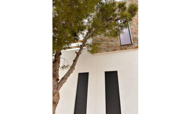 Nouvelle construction - Villa - Pinoso - Casas Pastor