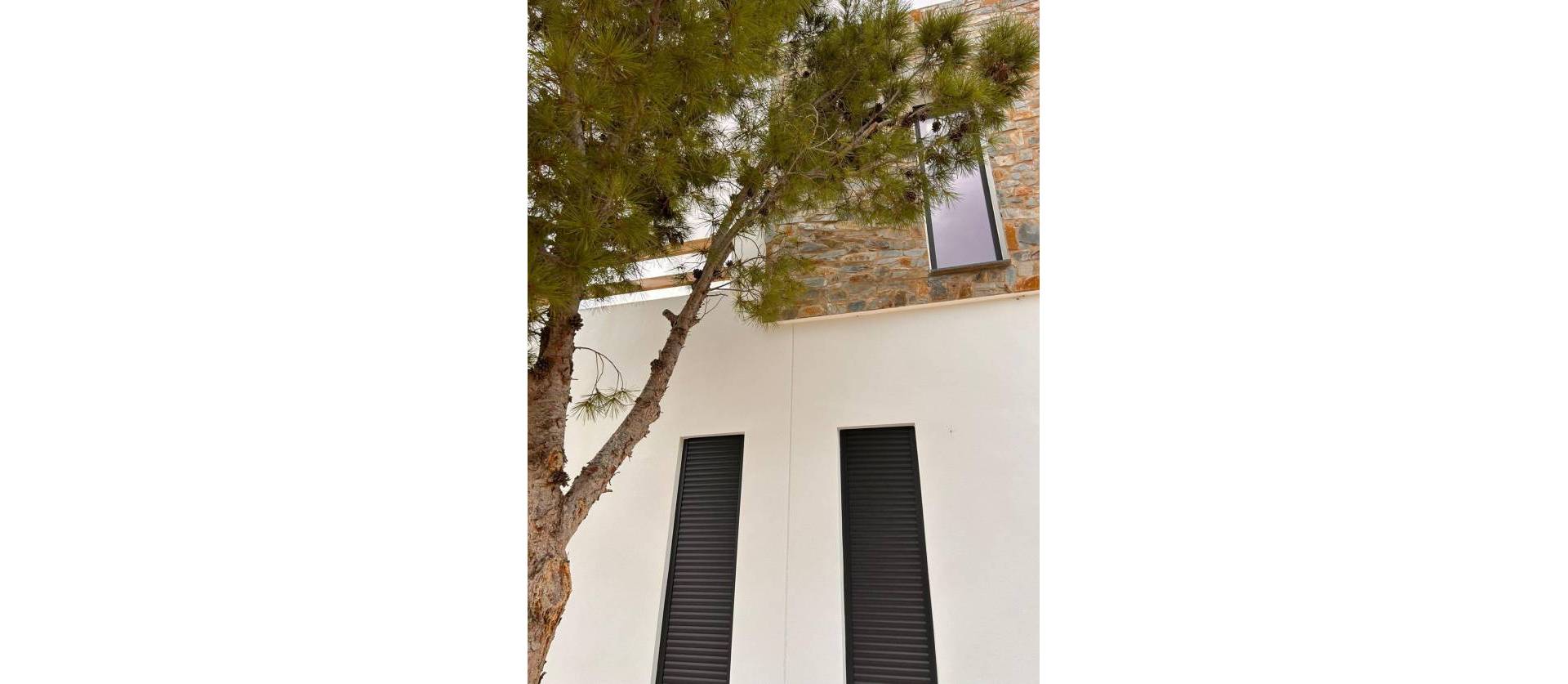 Nouvelle construction - Villa - Pinoso - Casas Pastor