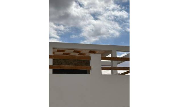 Nouvelle construction - Villa - Pinoso - Casas Pastor