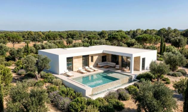 Nouvelle construction - Villa - Pinoso - Casas Pastor
