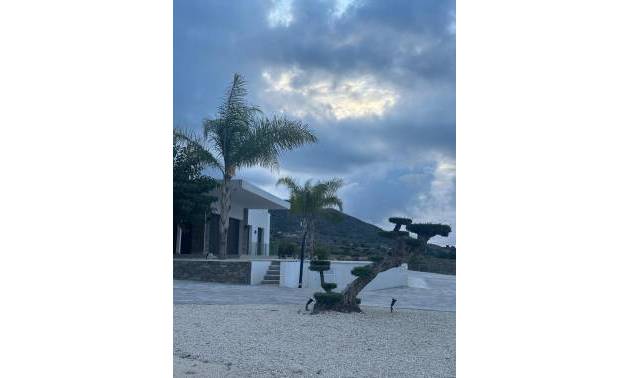 Nueva construcción  - Villa - Pinoso - Casas Pastor