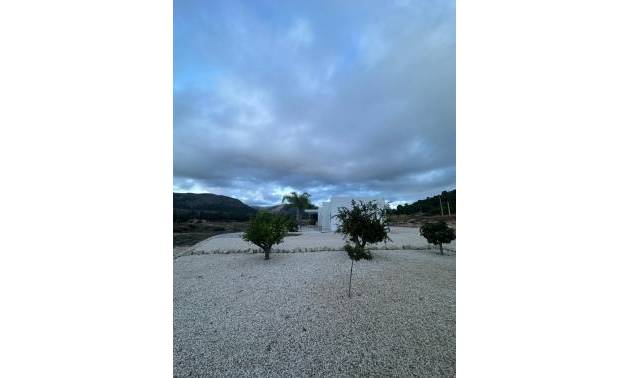 Nueva construcción  - Villa - Pinoso - Casas Pastor