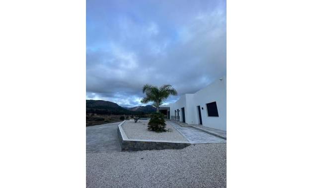 Nueva construcción  - Villa - Pinoso - Casas Pastor