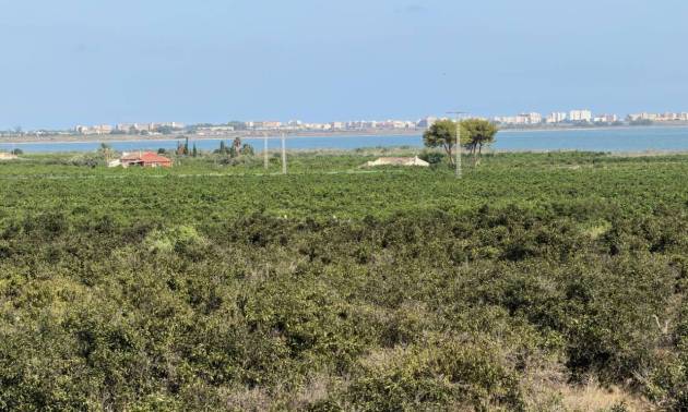Revente - Villa - Ciudad Quesada - Doña Pepa
