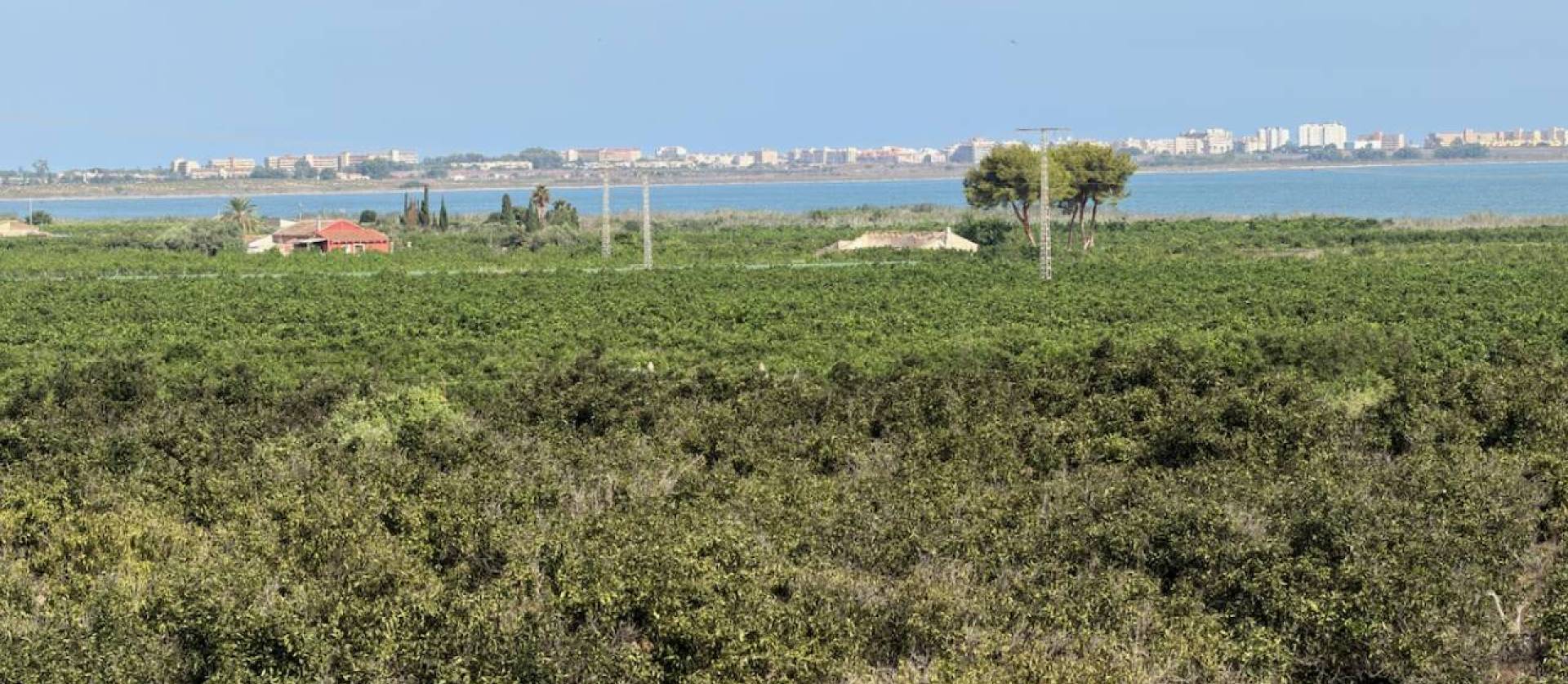 Revente - Villa - Ciudad Quesada - Doña Pepa