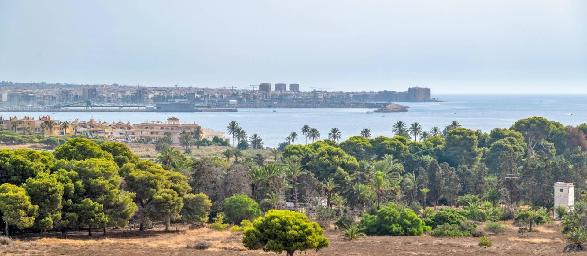 Revente - Apartment - Orihuela Costa - Punta Prima