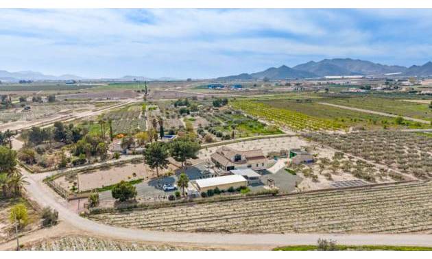 Revente - Villa - Puerto Lumbreras - Esparragal de Puerto Lumbreras