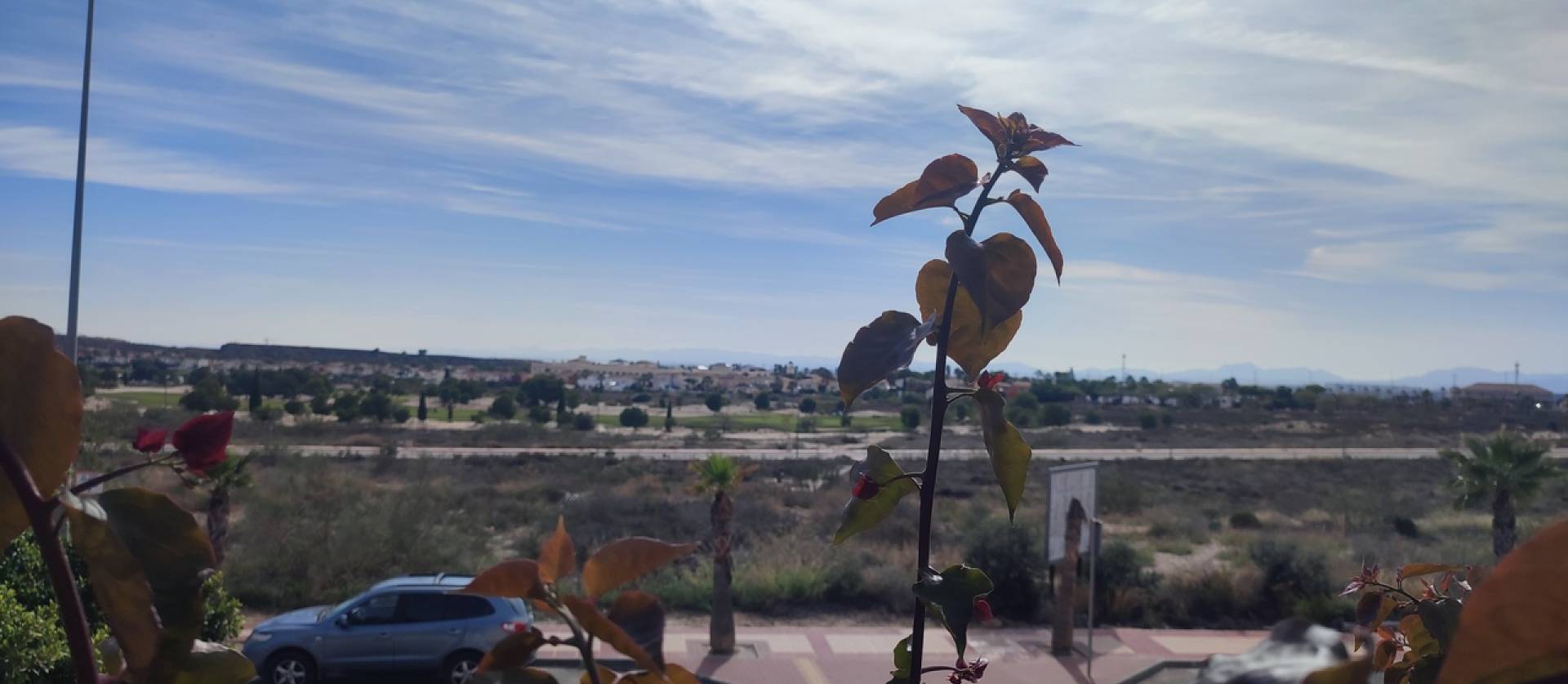 Revente - Apartment - Altaona golf and country village