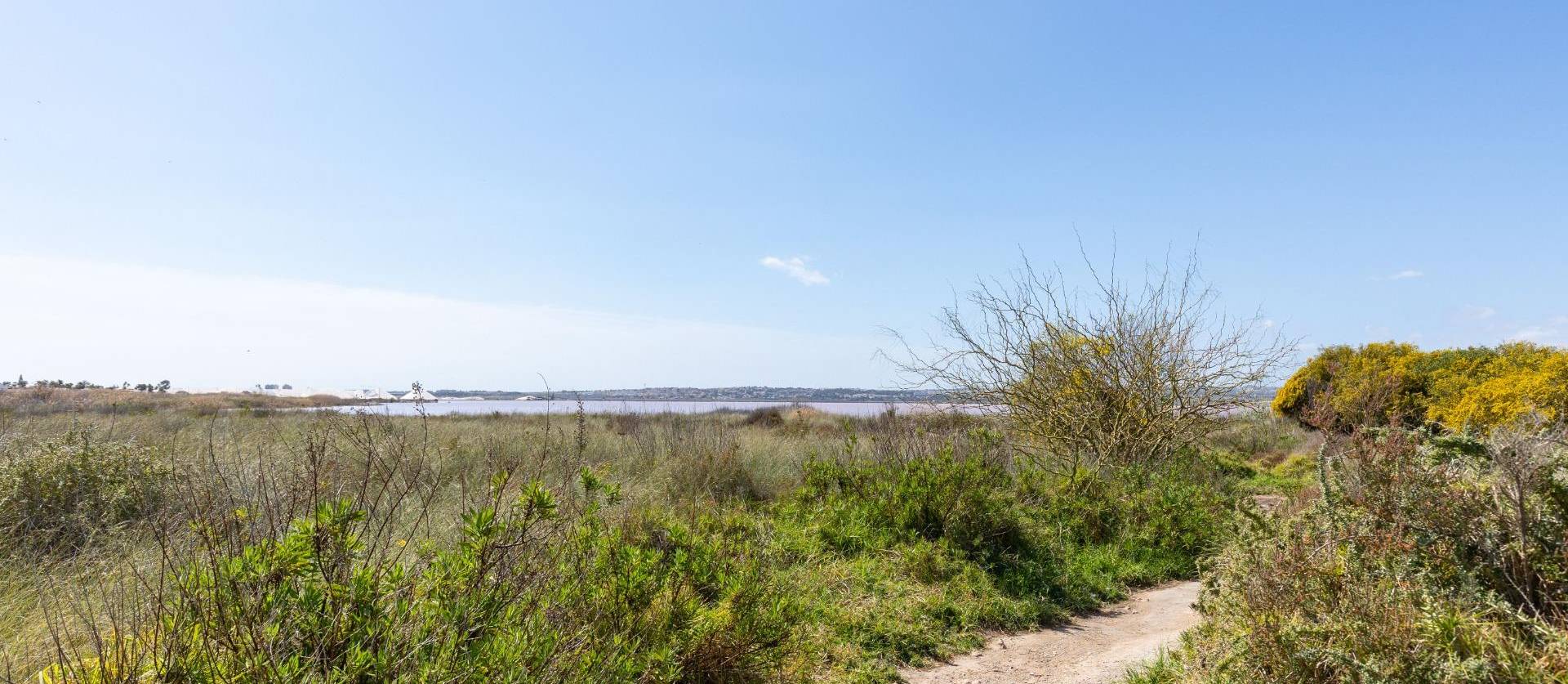 Venta - Bungalow - Torrevieja - Torretas