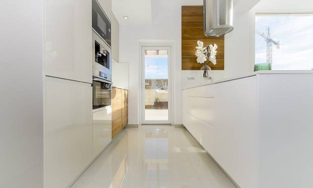 Nieuwbouw projecten - Villa - Los Montesinos - La Herrada