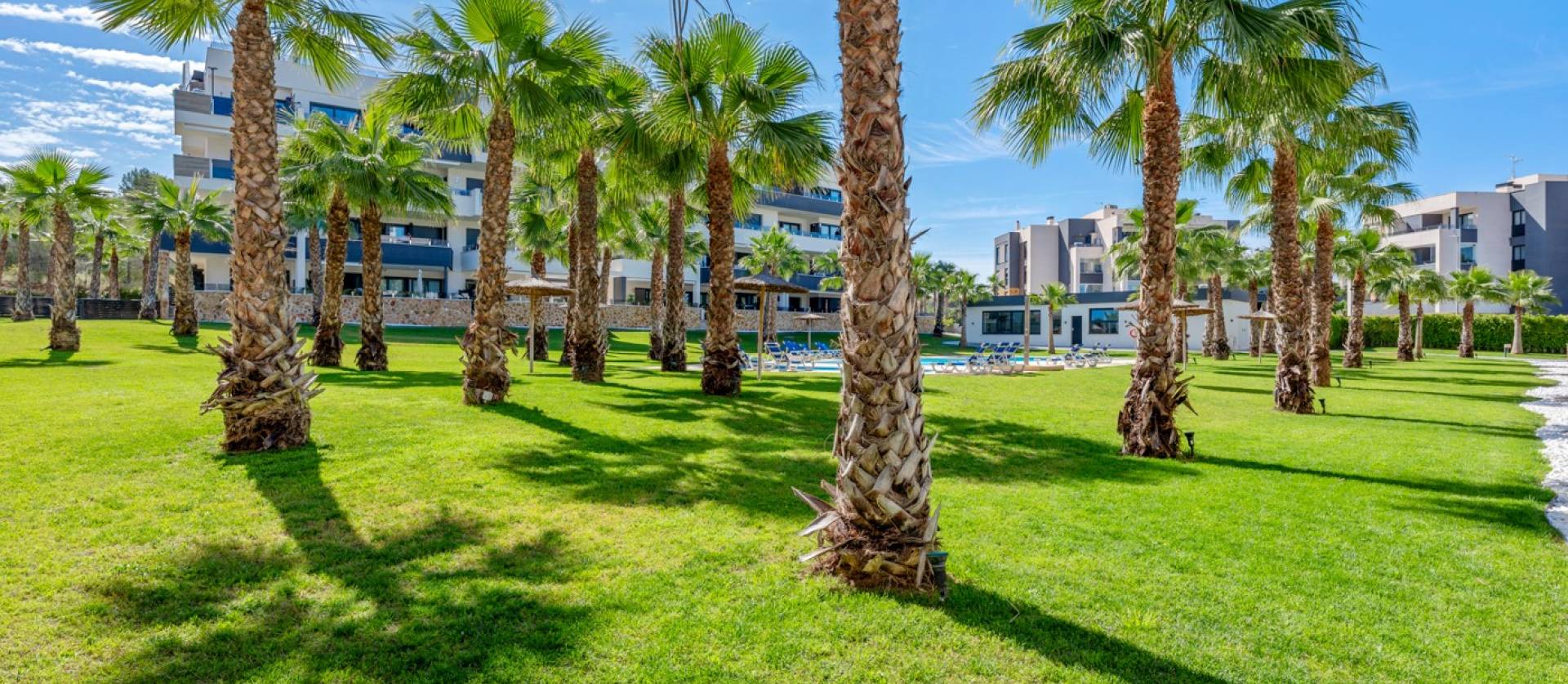 Venta - Apartment - Orihuela Costa - Los Altos