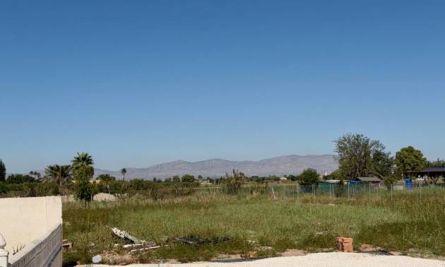 Revente - Country House - Dolores - Comunidad Valenciana