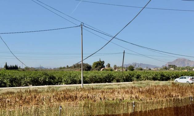 Revente - Country House - Dolores - Comunidad Valenciana