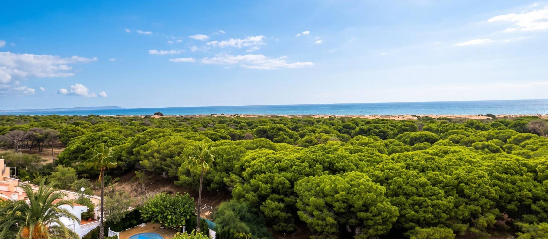 Revente - Apartment - Guardamar del Segura - Lomas de Polo-Pinomar