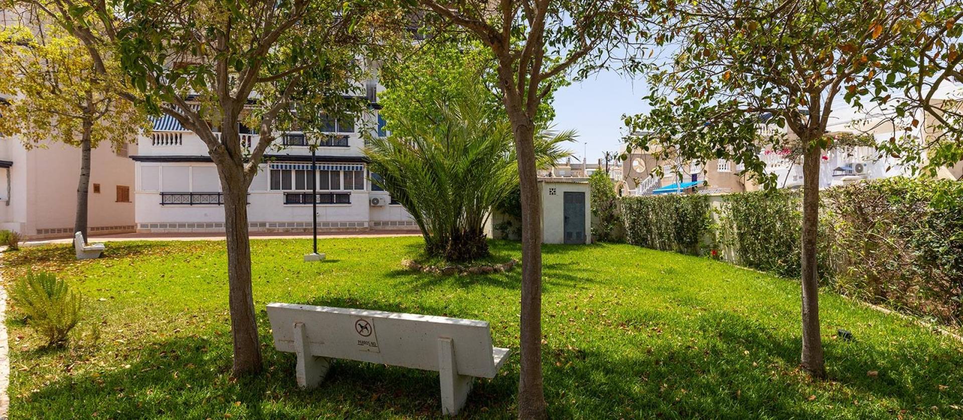 Revente - Bungalow - Torrevieja - Cañada del Molino